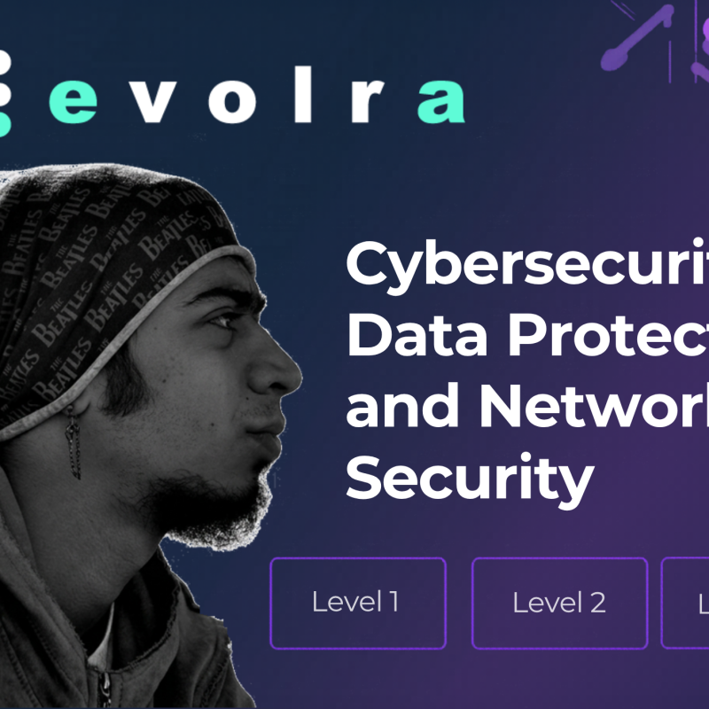 Cybersecurity: Data Protection and Network Security